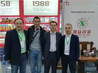 湘益茯茶6年耕耘，讓“金花”開遍巴蜀大地