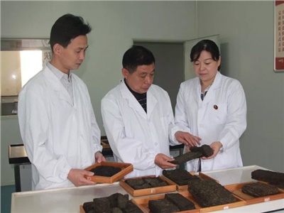 傳承茯茶非遺技藝、開拓創(chuàng)新引領(lǐng)行業(yè)發(fā)展