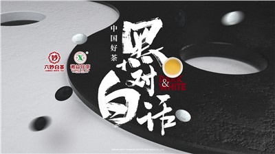 首屆黑白對(duì)話高峰論壇圓滿落幕！湘益茯茶備受關(guān)注！