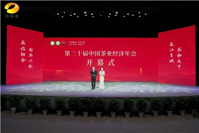 【聚焦第二十屆中國茶業(yè)經(jīng)濟年會】益陽茶廠榮獲“民族團結互助企業(yè)”、“2024年度茶業(yè)重點企業(yè)”榮譽稱號