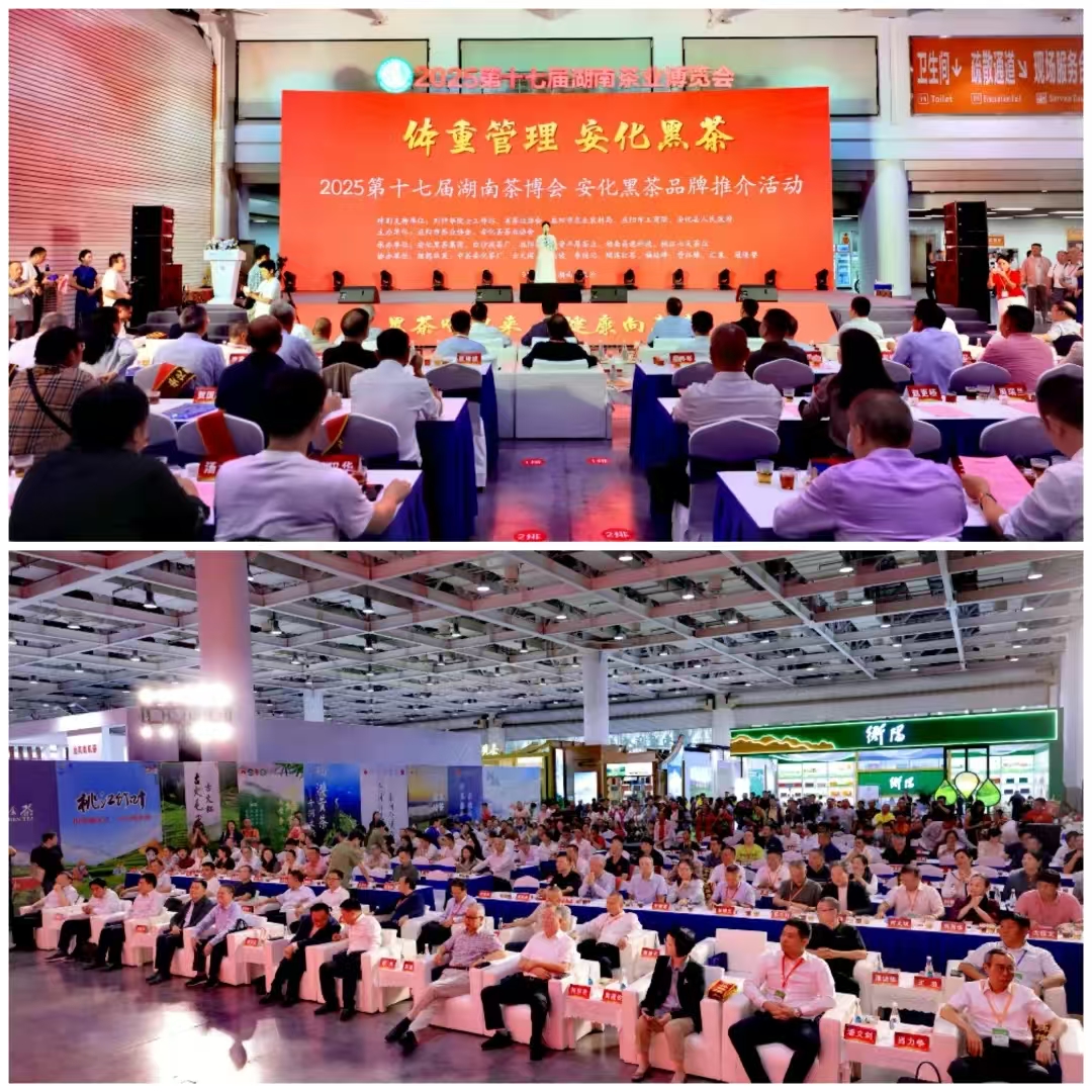 破局邊銷二十載，開啟茯茶新紀(jì)元——湘益茯茶“紀(jì)廿”新品璀璨發(fā)布